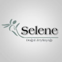 selene-web-site-tasarimi